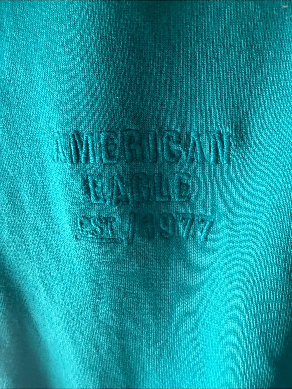 American Eagle Teal Embroidered Logo Short-Sleeve Hoodie